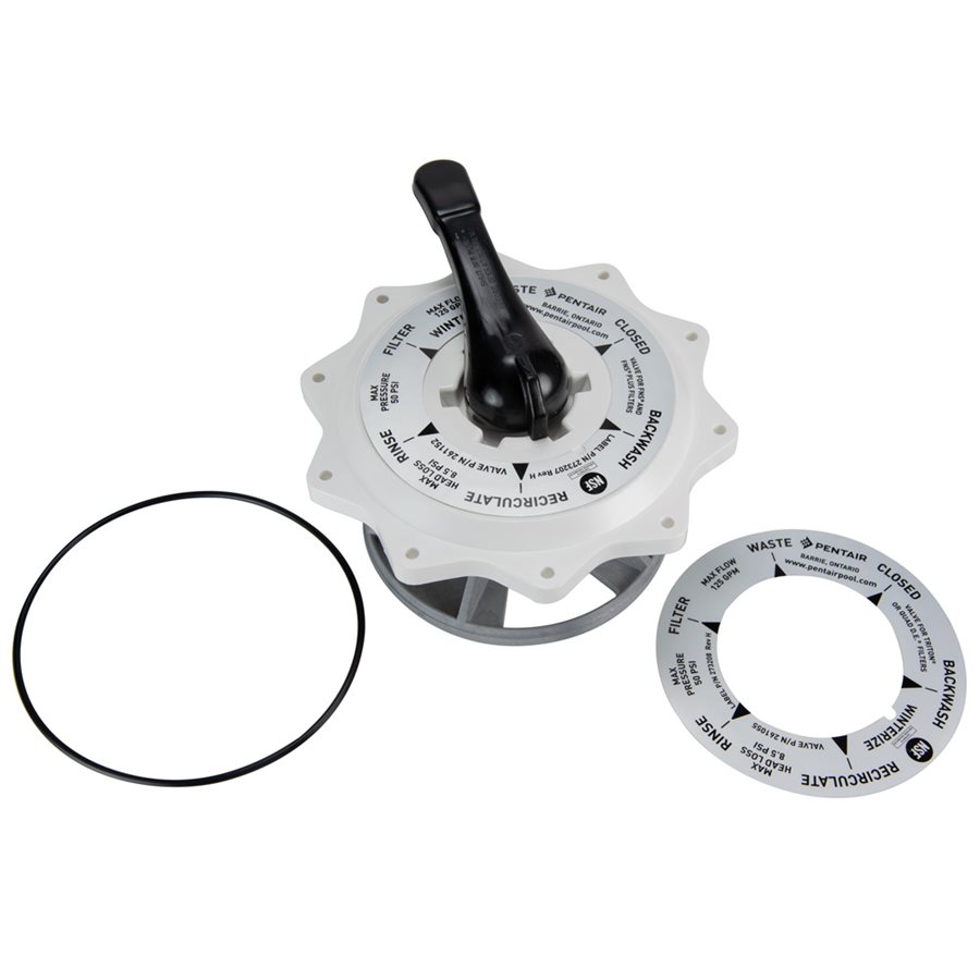 Pentair 270067 Top Valve Assembly, 2 in.