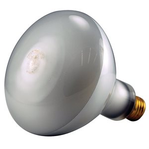 Bulbs