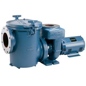Pentair CSP/CCSP Series Pump Parts
