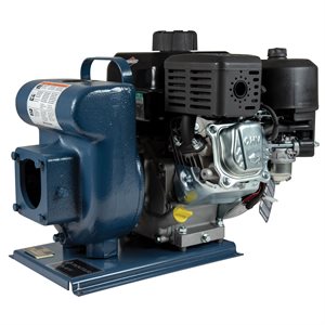 Sta-Rite EDPH-29R Gas Powered Pump Parts