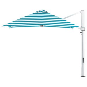 Umbrellas, Giant