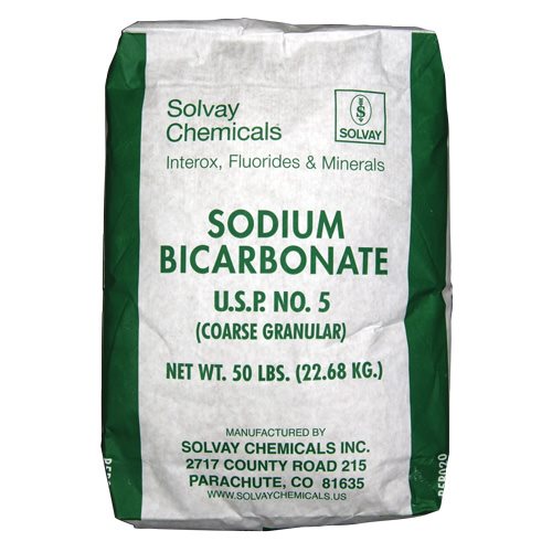 Alkalinity Increaser (Sodium Bicarbonate) 50 lb.