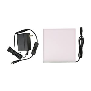 Taylor 9199 Daylight Comparator Lamp with Adapter