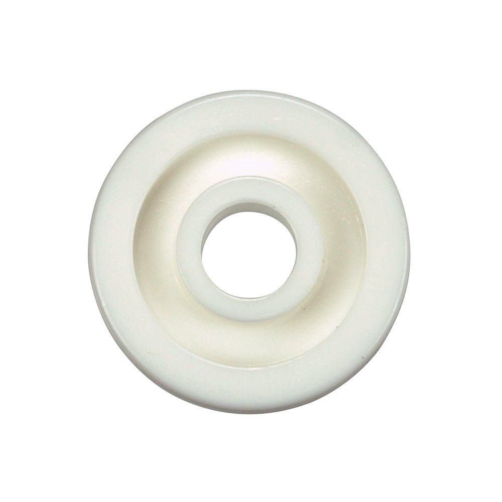 Pentair Rainbow 19" Vac Parts, R03021 Solid plastic wheel
