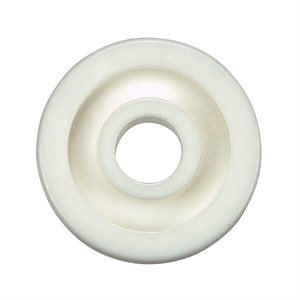 Pentair Rainbow 19" Vac Parts, R03021 Solid plastic wheel