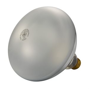 Pentair Parts 79101900 Incandescent Light Bulb 12V 300W