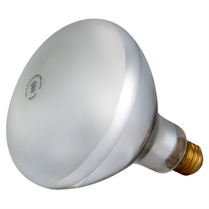 Pentair Parts 79102100 Light Bulb 120V 500W
