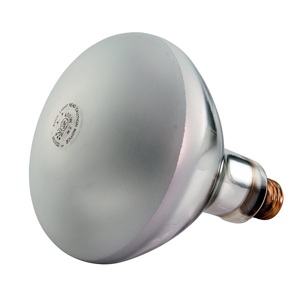 Pentair 79102200 400Watt 120Volt Medium Base Bulb Replacement for