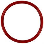 Pentair 619864Z Lens and Gasket Assembly for IntelliBrite 5G Pool Light