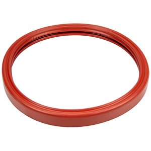 Pentair 620400Z Gasket for IntelliBrite 5G Pool Light