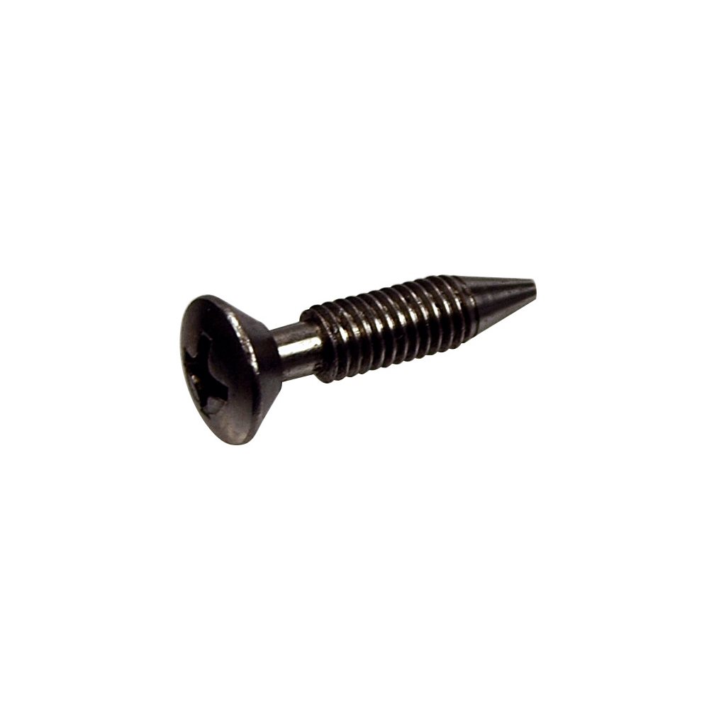 Pentair Parts 37337-0079 Retaining Screw