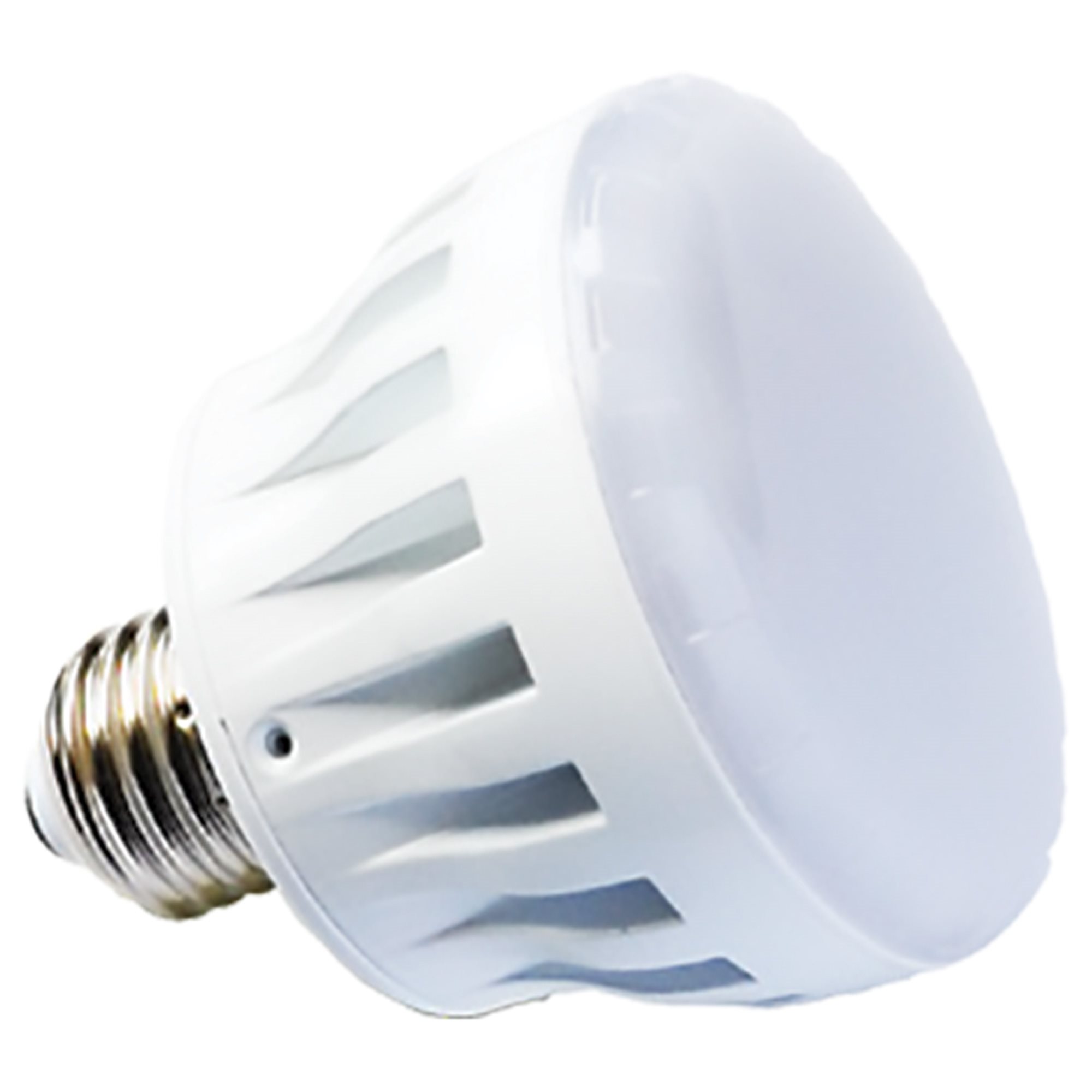 Purewhite Replacement LED Spa Bulb, Cool White, 13W
