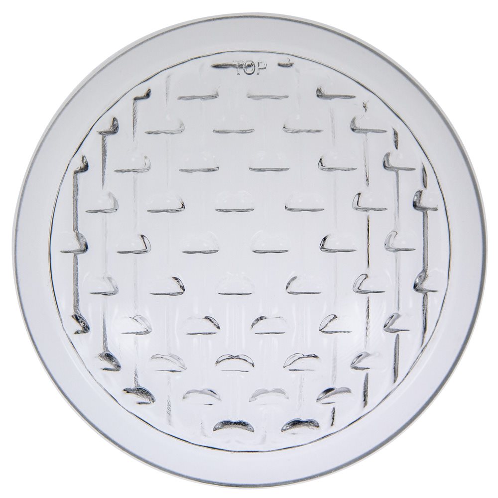 Pentair 79107800 Lens, 4 in. Tempered Glass, Clear