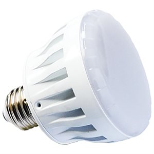 PureWhite PRO LED Spa Lamp (100W Equivalent), 120V, Cool White