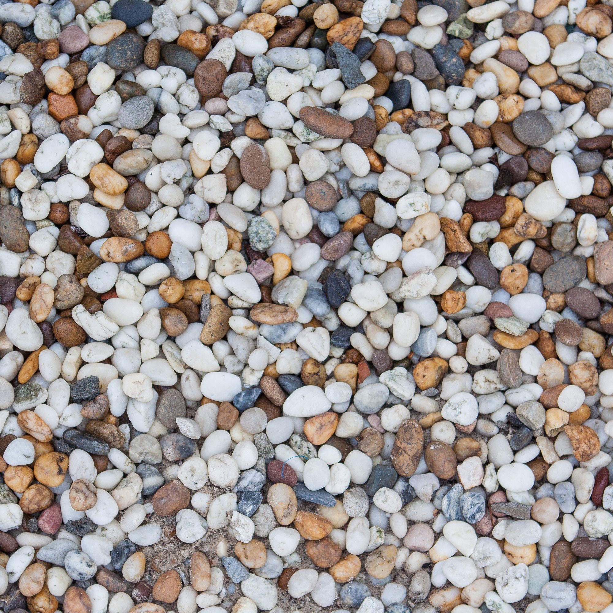 Pea Gravel, 50 lb.
