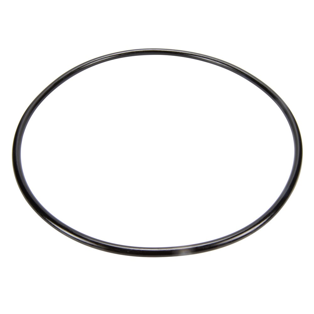 Pentair Parts 87300400 Body O-Ring