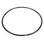 Pentair Parts 87300400 Body O-Ring