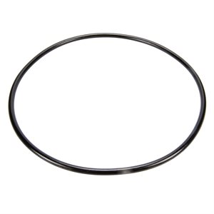 Pentair Parts 87300400 Body O-Ring