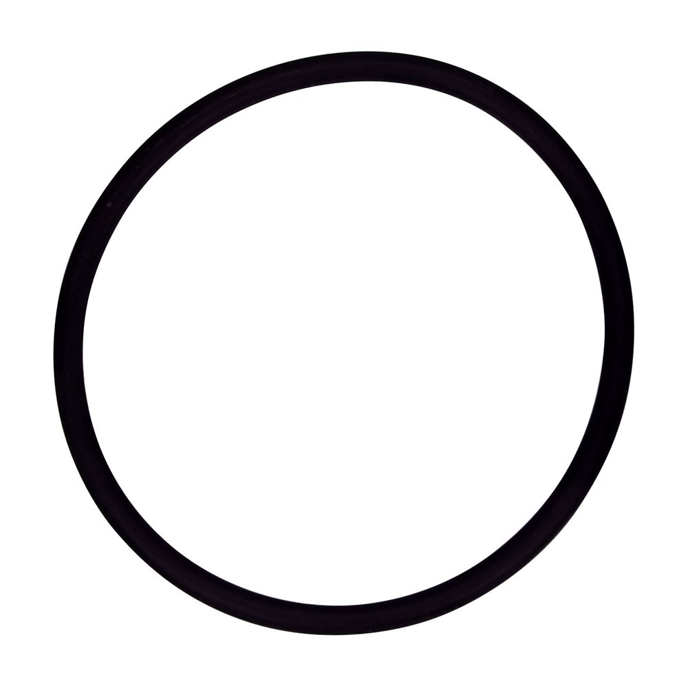 Pentair Parts 154005 O-Ring Parker 2-343