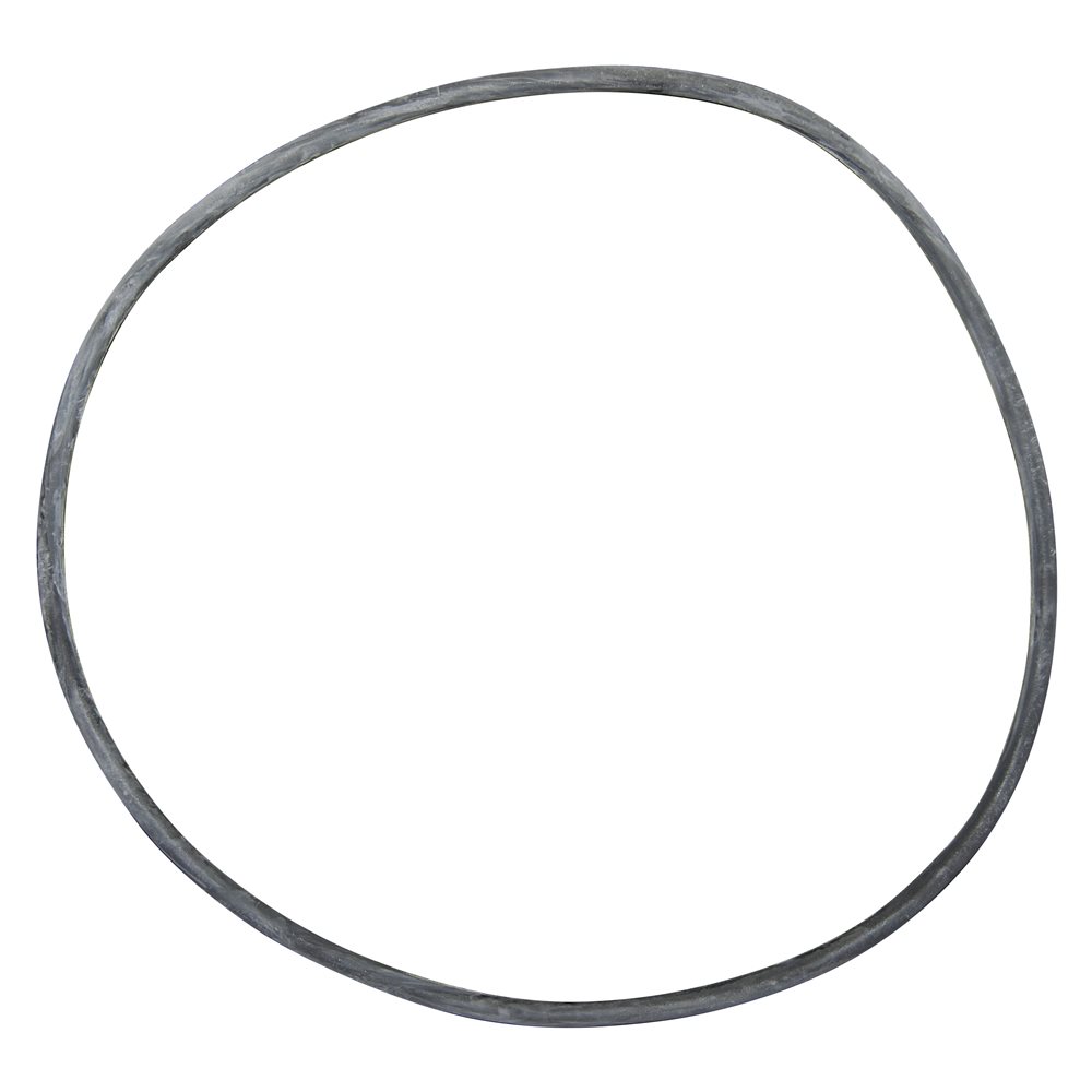 Pentair Parts 24850-0008 Cord Ring, 21 inch filter