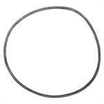 Pentair Parts 24850-0008 Cord Ring, 21 inch filter