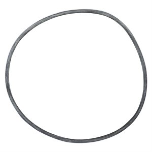 Pentair Parts 24850-0008 Cord Ring, 21 inch filter