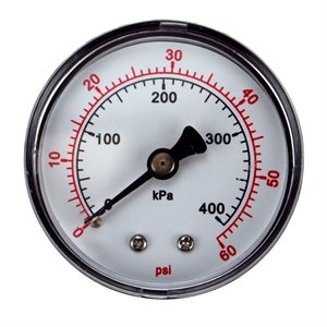 Pentair Parts 33600-0023T Gauge, 2 inch