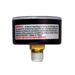 Pentair Parts 33600-0023T Gauge, 2 inch