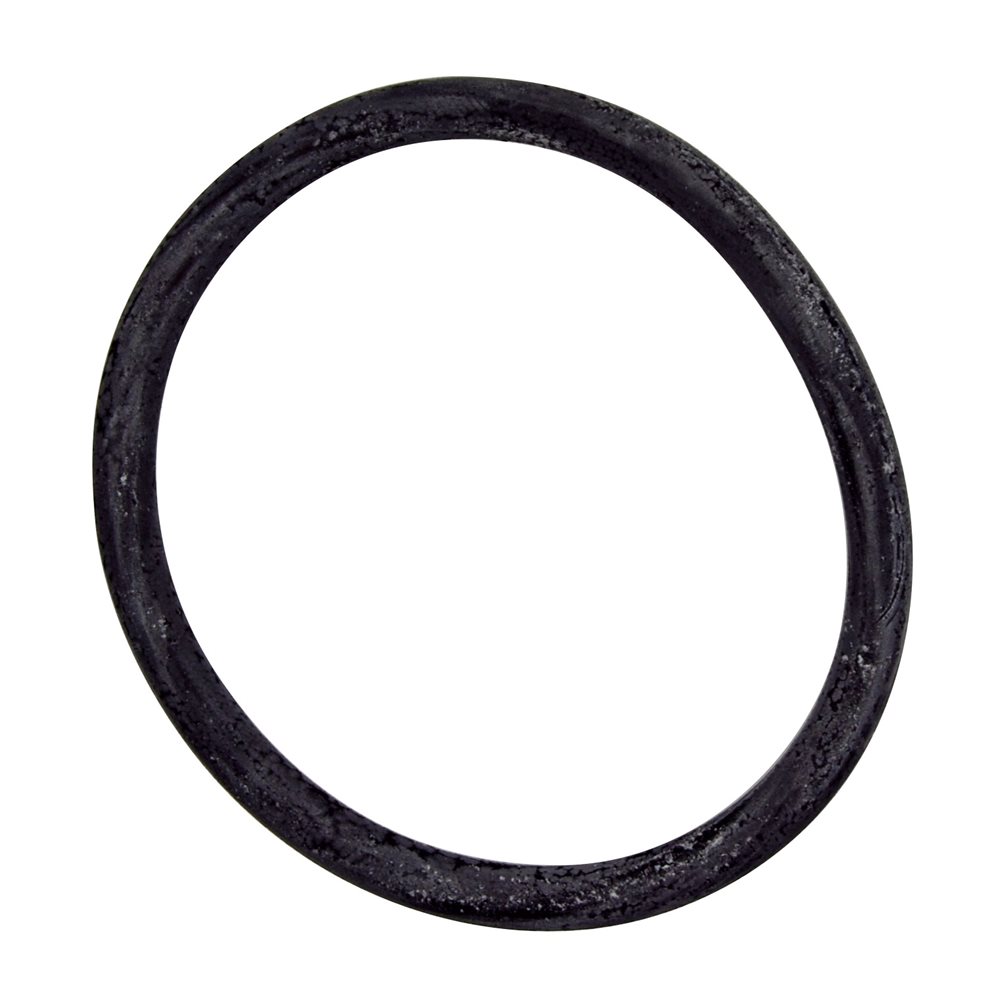 Pentair Parts 35505-1424 O-Ring