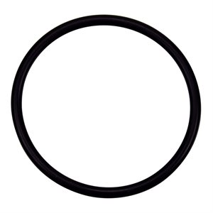 Pentair Parts 35505-1428 O-Ring