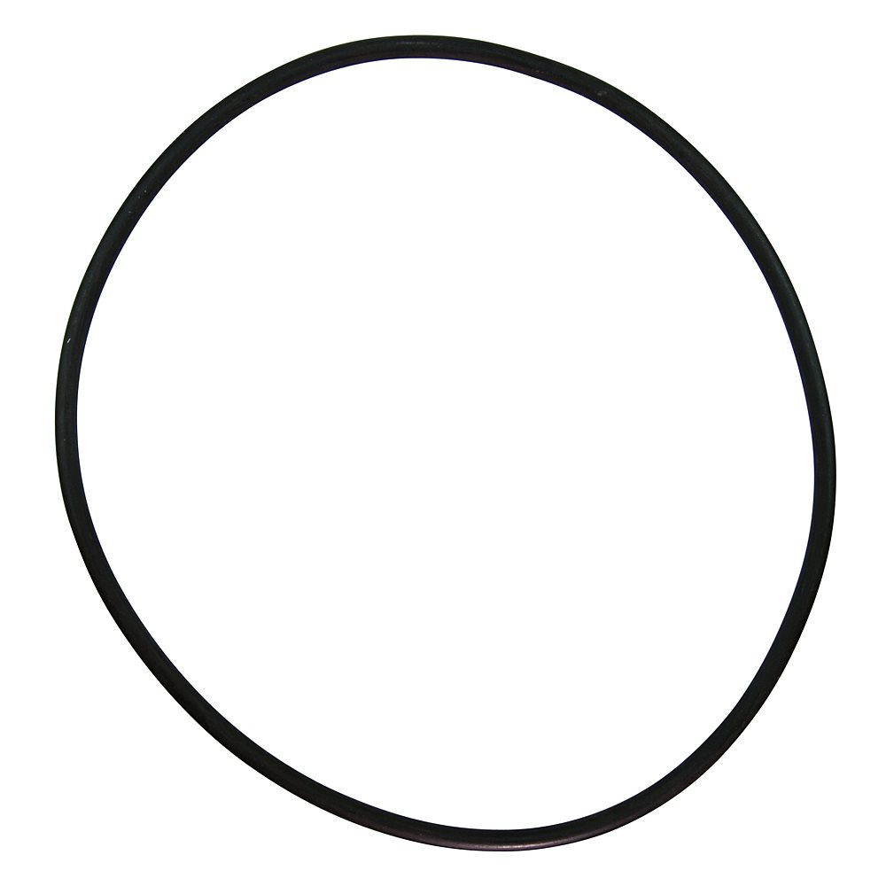 Pentair Parts 35505-0421 O-Ring