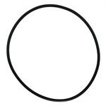Pentair Parts 35505-0421 O-Ring