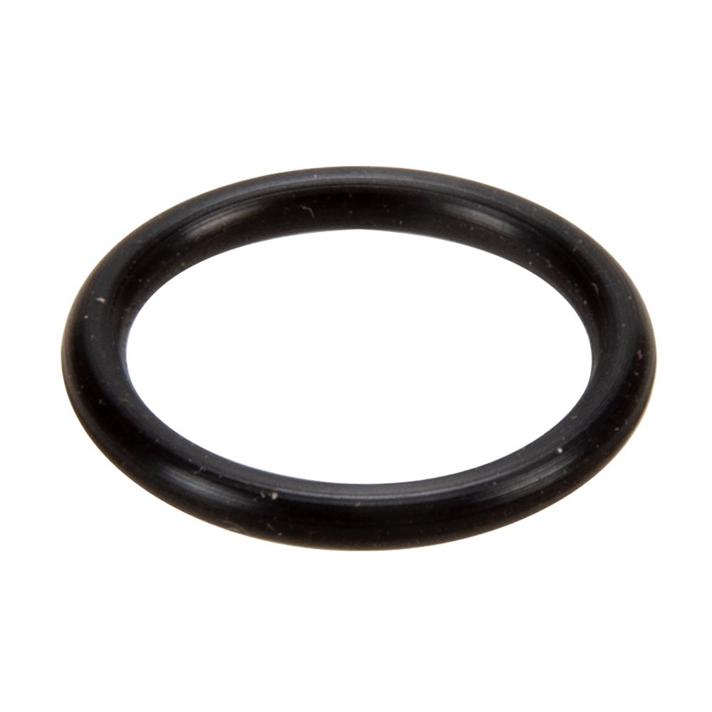 Pentair Parts 35505-1116 O-Ring