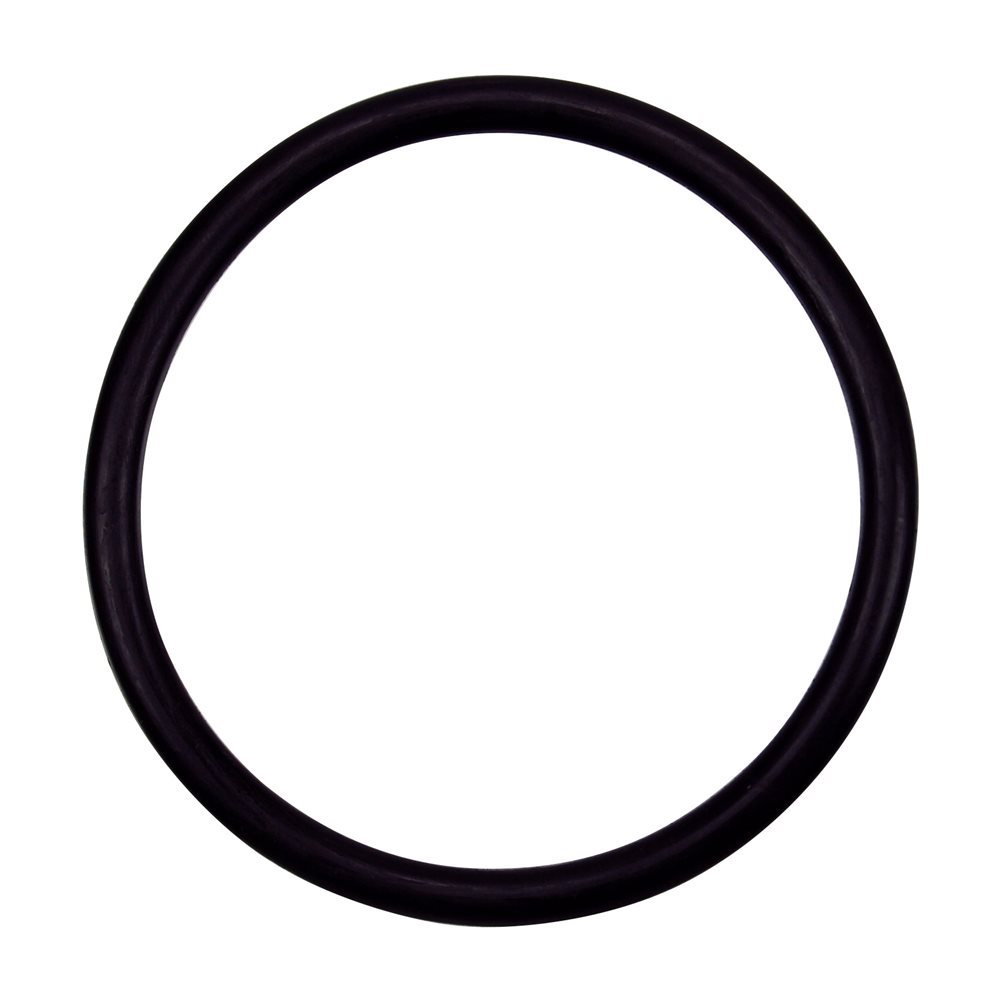 Pentair Parts 154492 O-ring 2 inch bulkhead