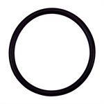 Pentair Parts 154492 O-ring 2 inch bulkhead