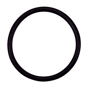 Pentair Parts 154492 O-ring 2 inch bulkhead, REPACKAGED