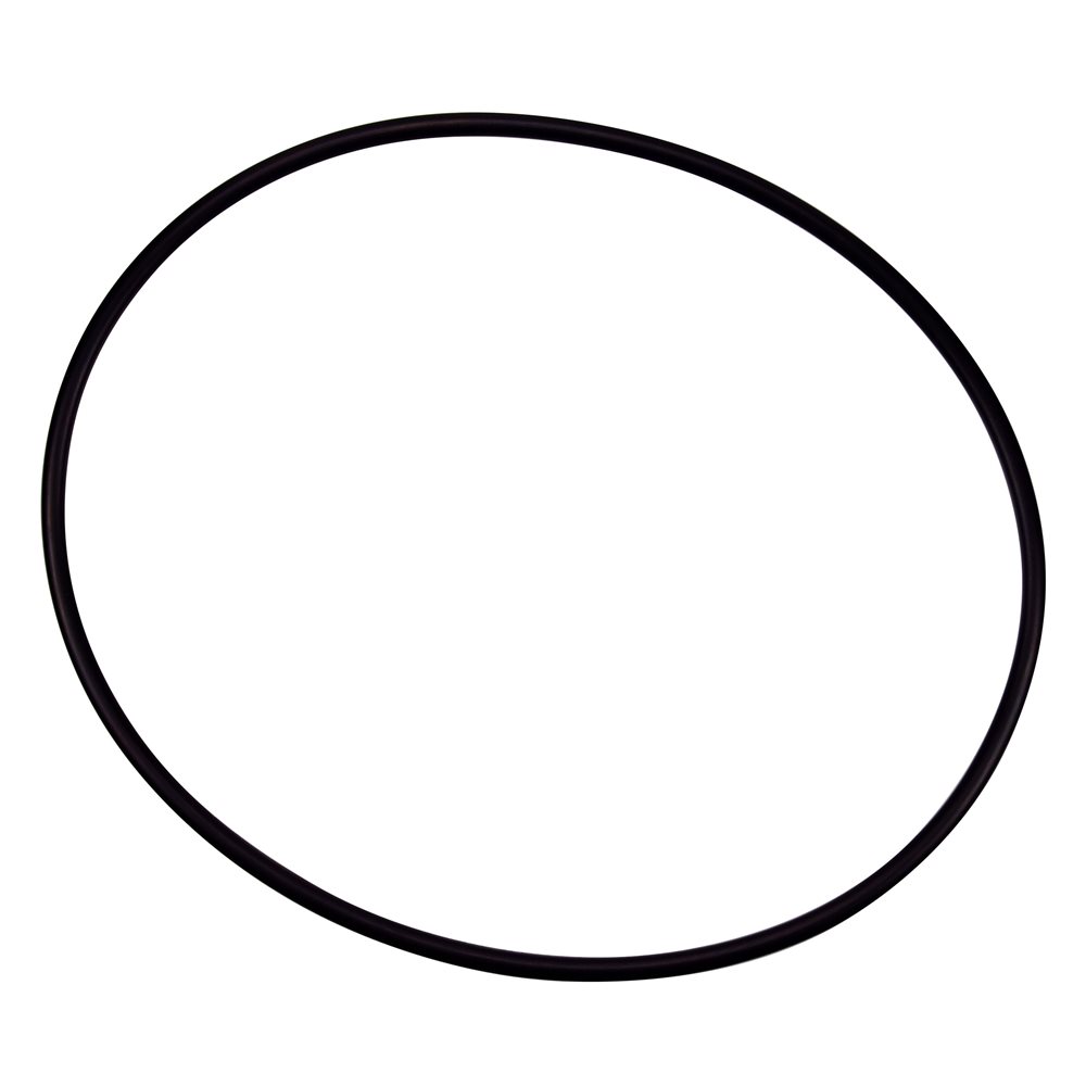 Pentair Parts 154493 O-Ring