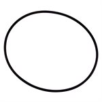 Pentair Parts 154493 O-Ring