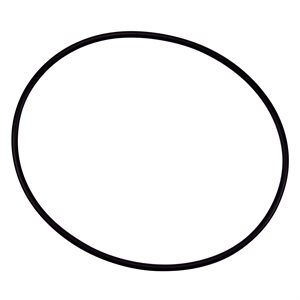 Pentair Parts 154493 O-Ring