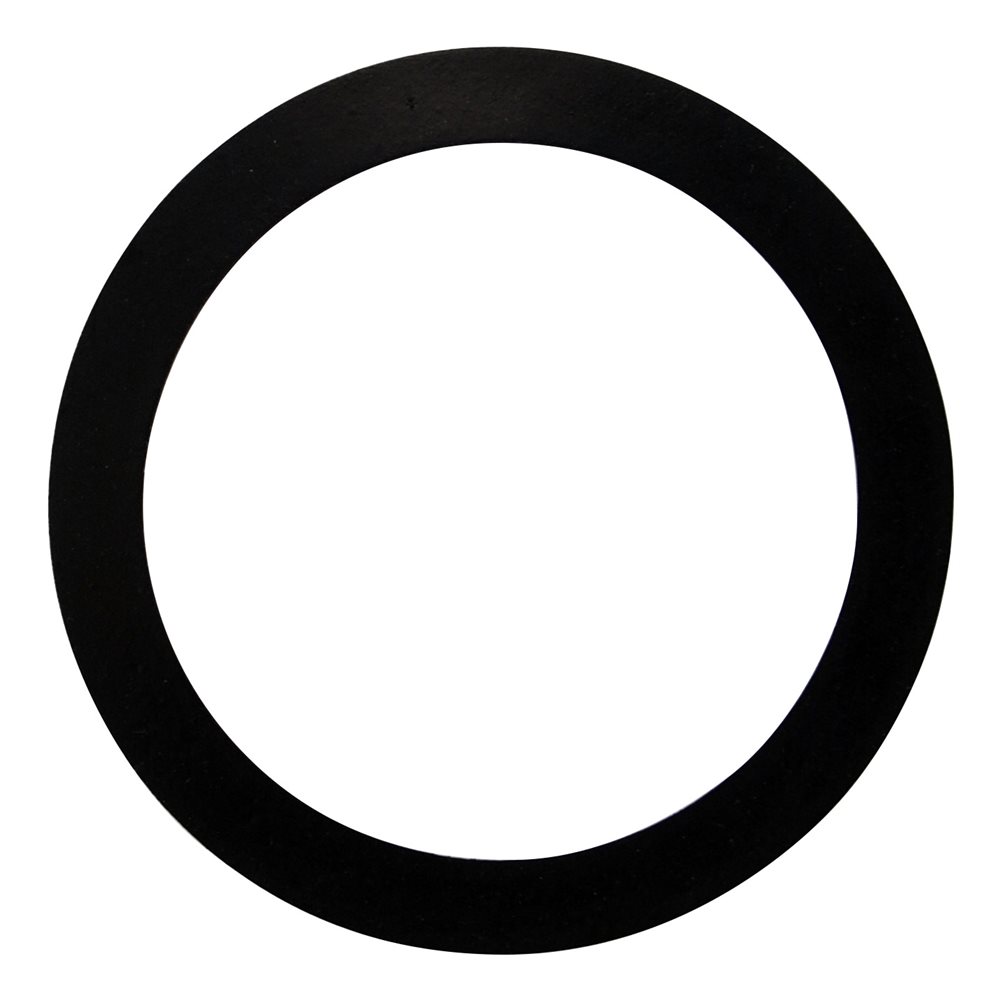 Pentair Parts 154538 Gasket 2 inch bulkhead