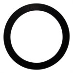 Pentair Parts 154538 Gasket 2 inch bulkhead