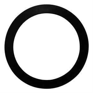 Pentair Parts 154538 Gasket 2 inch bulkhead