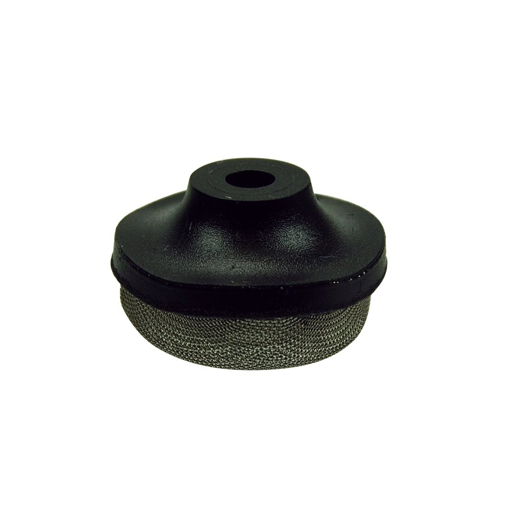 Pentair Parts 154578 Strainer air relief (before 11-1-1999)