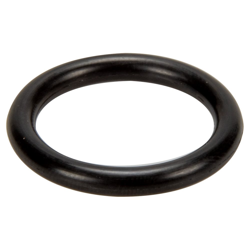 Pentair 191479 O-Ring for Valve Stem