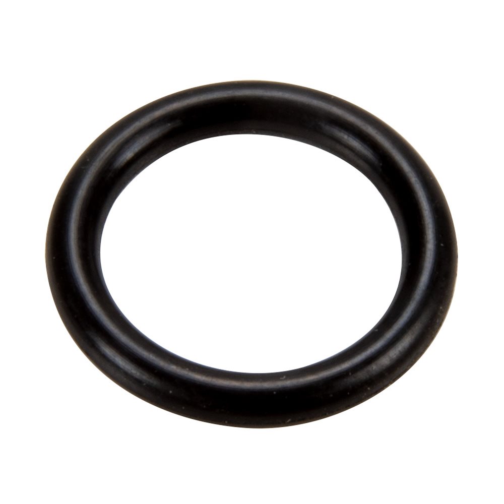 Pentair JV18 O-Ring, REPACKAGED