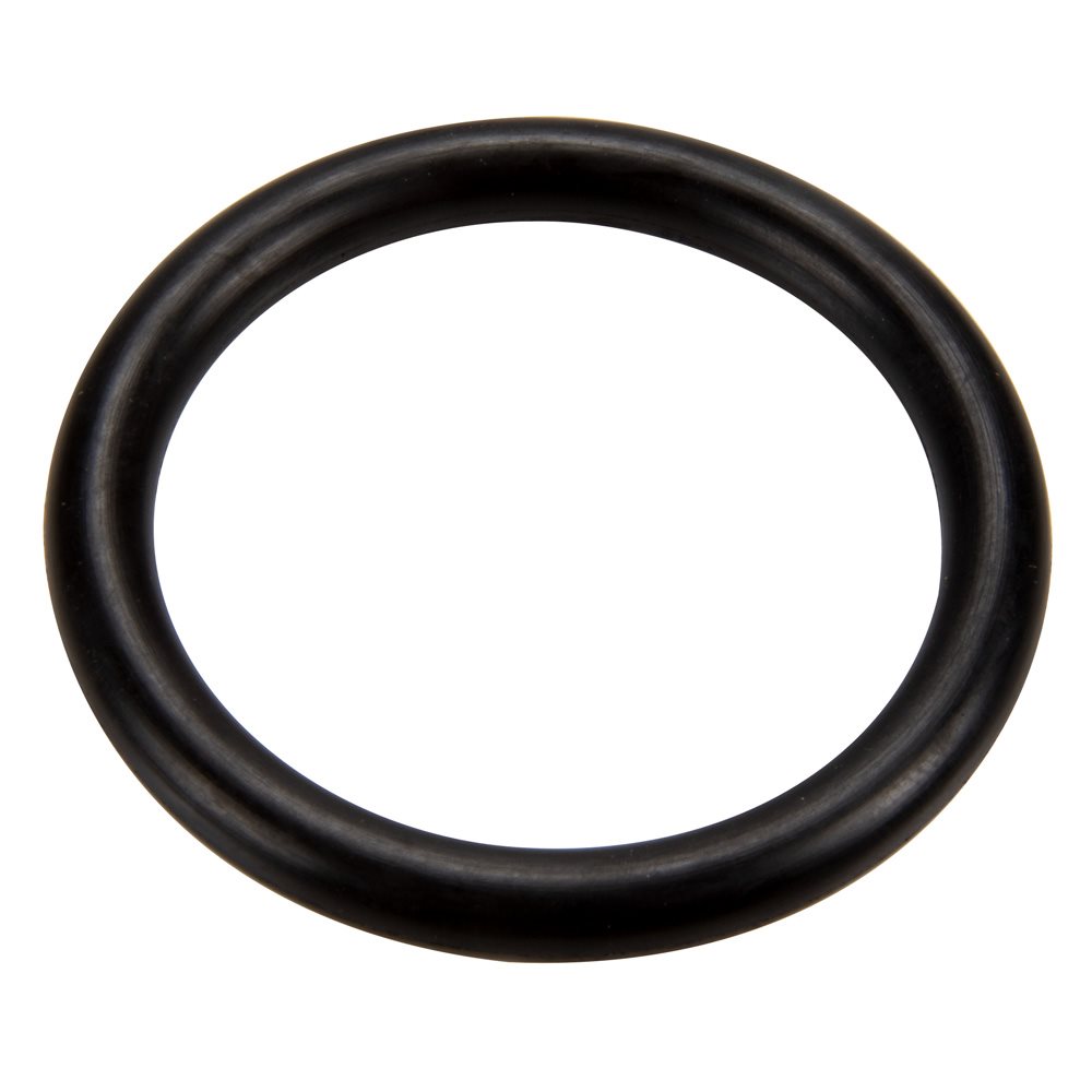 Pentair 273090 O-Ring