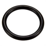 Pentair 273090 O-Ring