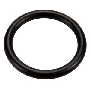 Pentair 273090 O-Ring