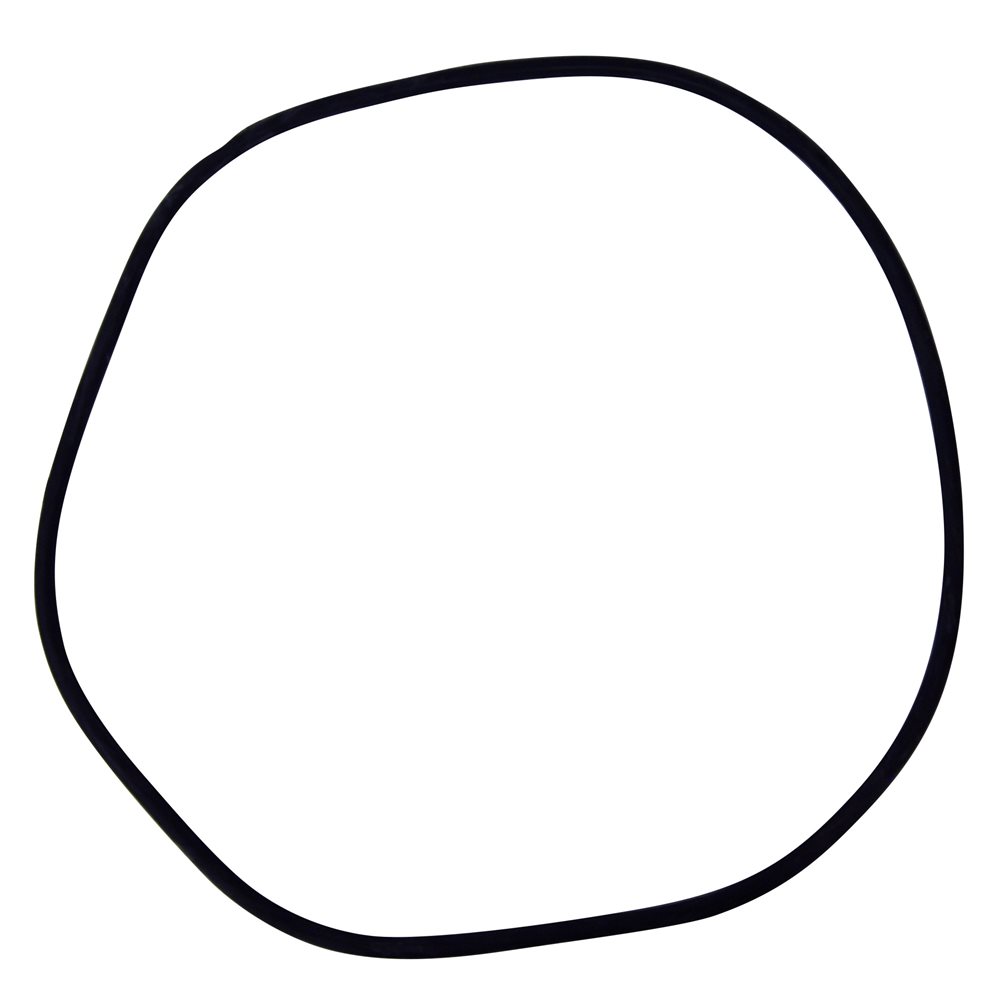 Pentair Parts 24850-0009 Cord Ring, 25 inch filter