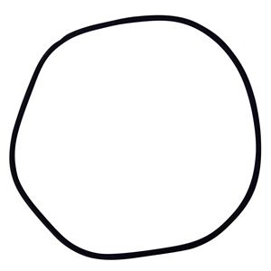 Pentair Parts 24850-0009 Cord Ring, 25 inch filter